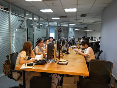新纪元,轻量化综合设计服务解决方案 纵意设计
